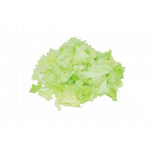 IJsbergsla gesneden 5 mm 500 gr