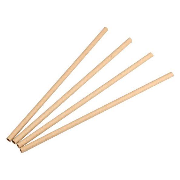 Equo suikerriet rietje smoothie 8x210mm. a250