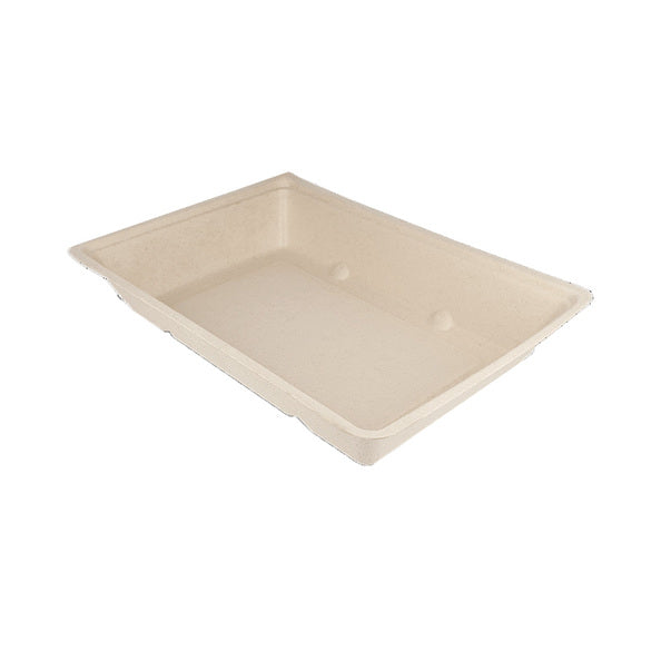 Snackbakje A50 suikerriet a500