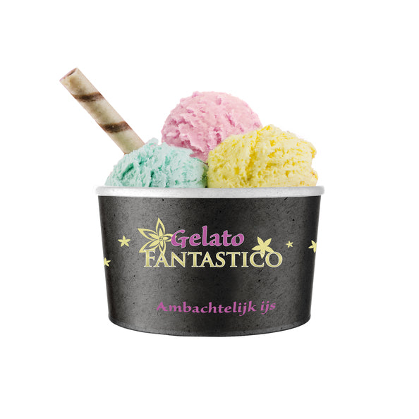Gelato Fantastico Gelato beker 240ml. a50